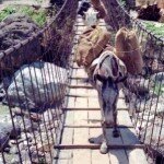 himalajskie mosty wiszące