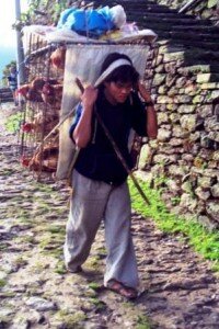 ciążka praca tragarza w Himalajach