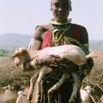 największym skarbem Tatoga są kozy i barany